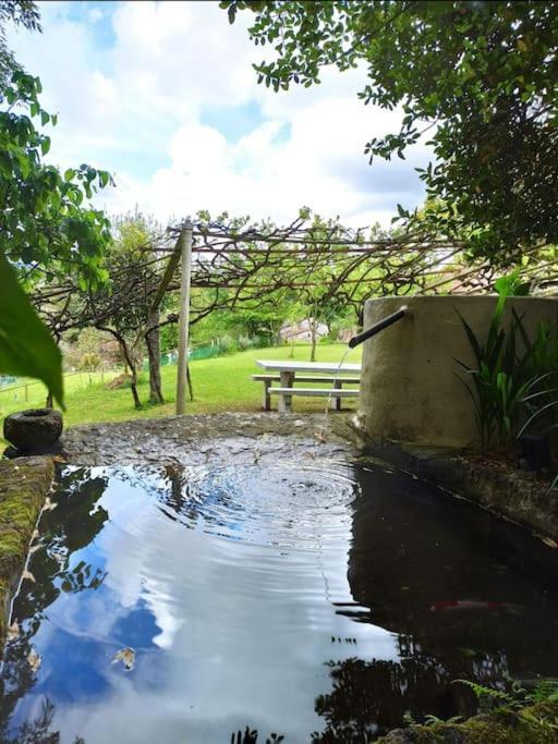 A Vina De Lina. Turismo Rural Con Piscina Y Finca. Pontevedra Kültér fotó