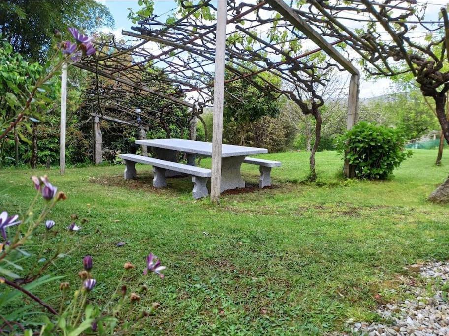 A Vina De Lina. Turismo Rural Con Piscina Y Finca. Pontevedra Kültér fotó